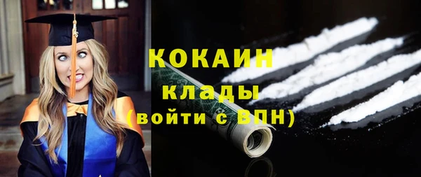 спайс Няндома