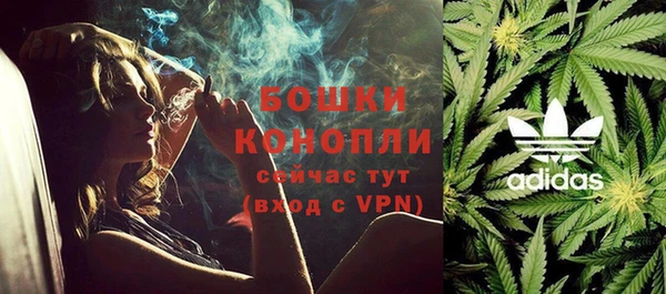 спайс Няндома