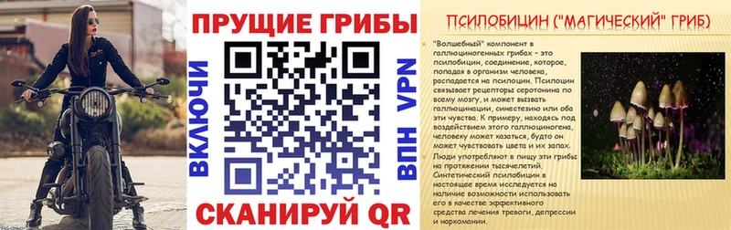купить   блэк спрут зеркало  Псилоцибиновые грибы Magic Shrooms  Сорск 